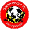 SV Salamander Werningshausen