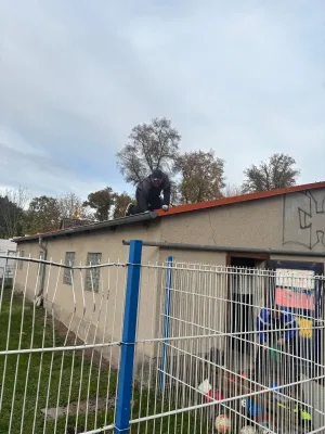 Arbeitseinsatz 25.10.2025