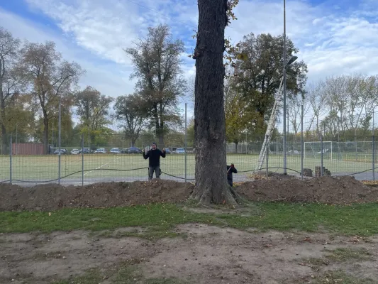 Arbeitseinsatz 25.10.2025