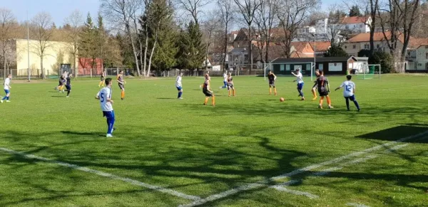 30.03.2019 FC Turbine Erfurt vs. FC 1921 Gebesee