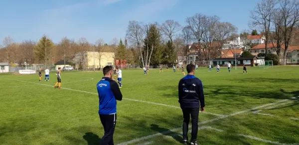 30.03.2019 FC Turbine Erfurt vs. FC 1921 Gebesee